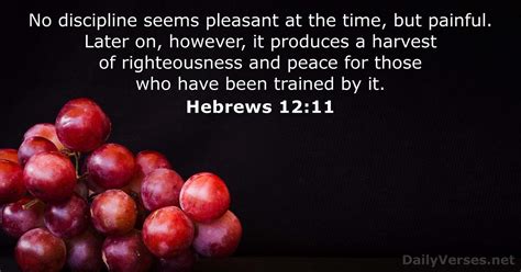 hebrews 12:11 passion version